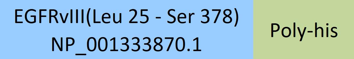 EGFRvIII Structure