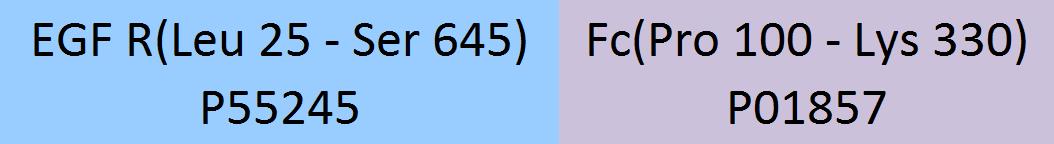 EGF R Structure