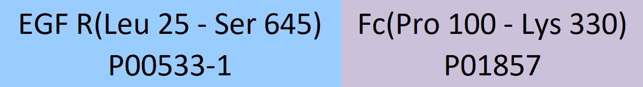 EGF R Structure