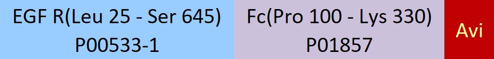 EGF R Structure