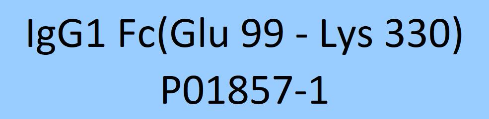 IgG1 Fc Structure