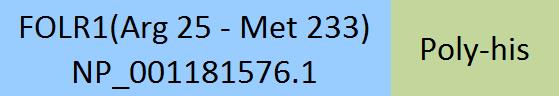 FOLR1 Structure