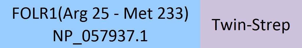 FOLR1 Structure