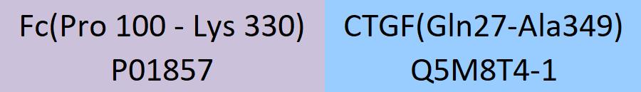 CTGF Structure