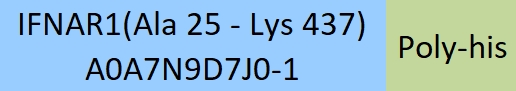 IFN-alpha/beta R1 Structure