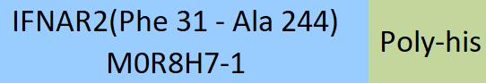 IFN-alpha/beta R2 Structure