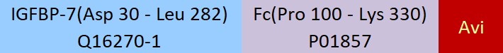 IGFBP-7 Structure