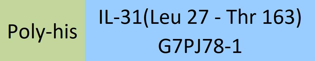 IL-31 Structure