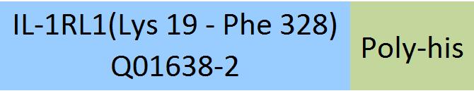 IL-1RL1 Structure