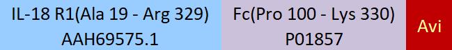 IL-18 R1 Structure