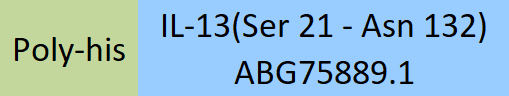 IL-13 Structure