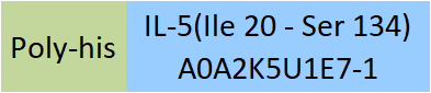 IL-5 Structure