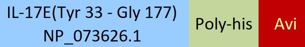 IL-17E Structure
