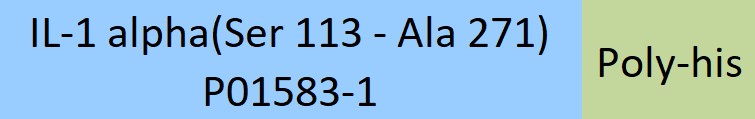 IL-1 alpha Structure