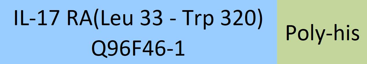 IL-17 RA Structure