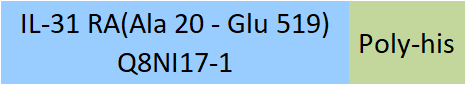 IL-31 RA Structure