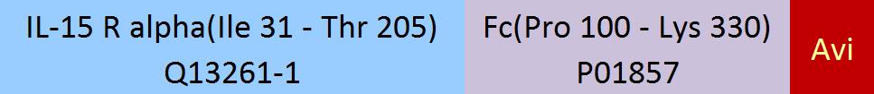 IL-15 R alpha Structure