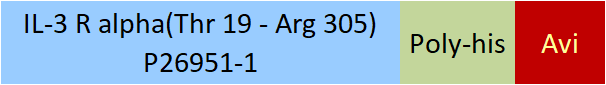 IL-3 R alpha Structure