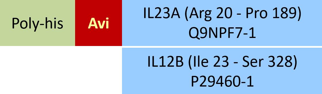 IL23A & IL12B Structure