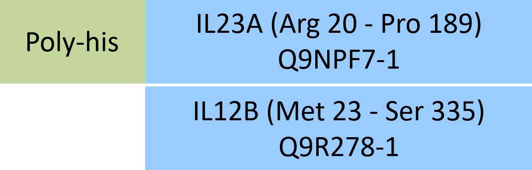 IL23A & IL12B Structure