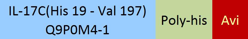 IL-17C Structure