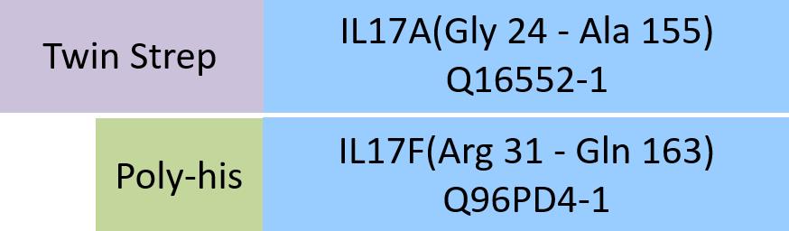 IL-17A & IL-17F Structure