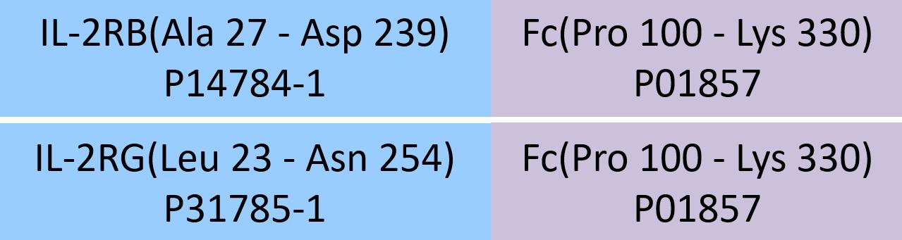 IL-2 R beta & IL-2 R gamma Structure