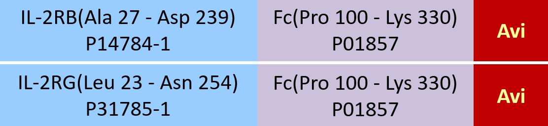 IL-2 R beta & IL-2 R gamma Structure