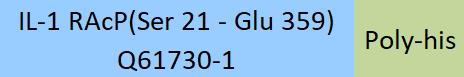 Online(Ser 21 - Glu 359) Q61730-1