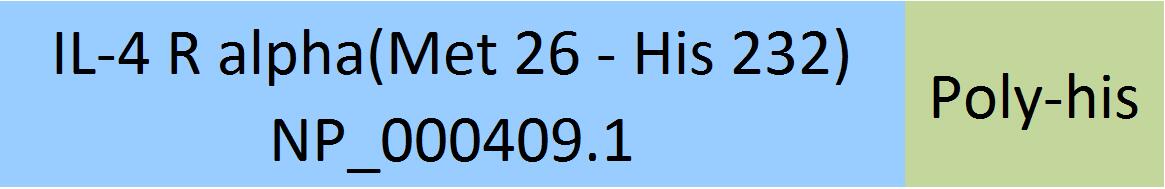 IL-4 R alpha Structure