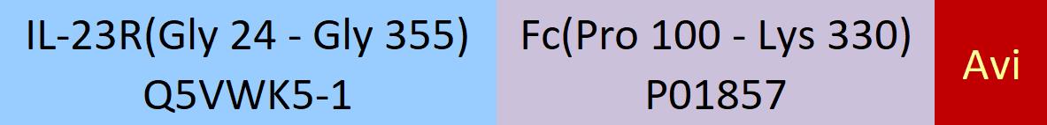 IL-23R Structure