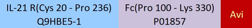IL-21 R Structure