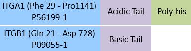 Integrin alpha 1 beta 1 Structure