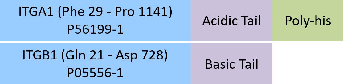 Integrin alpha 1 beta 1 Structure