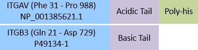 Integrin alpha V beta 1 Structure