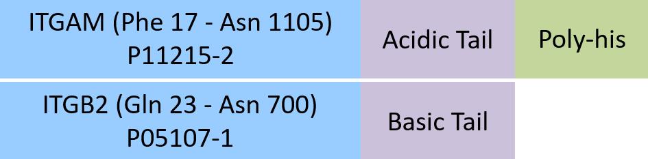 Online(Phe 17 - Asn 1105 (ITGAM) & Gln 23 - Asn 700 (ITGB2)) P11215-2 (ITGAM) & P05107-1 (ITGB2)