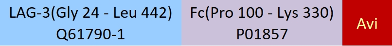 LAG-3 Structure