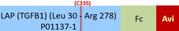 LAP (TGF-beta 1) Structure