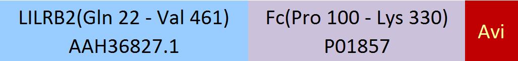 LILRB2 Structure
