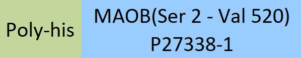 Monoamine oxidase B Structure