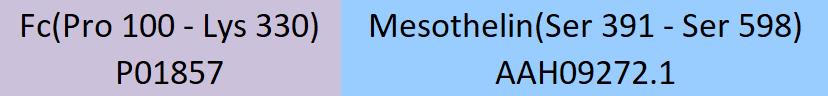 Mesothelin Structure