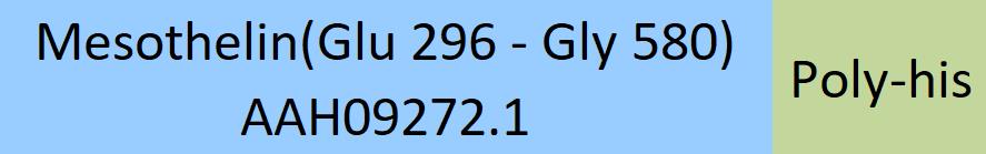Online(Glu 296 - Gly 580) AAH09272.1
