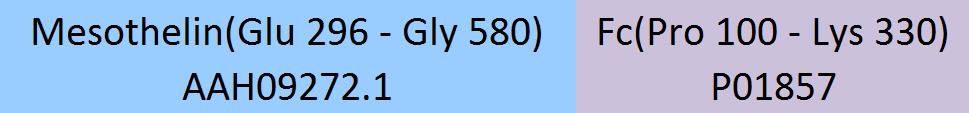 Mesothelin Structure