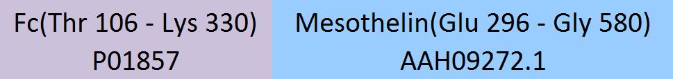 Mesothelin Structure