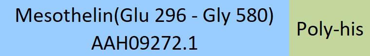 Online(Glu 296 - Gly 580) AAH09272.1