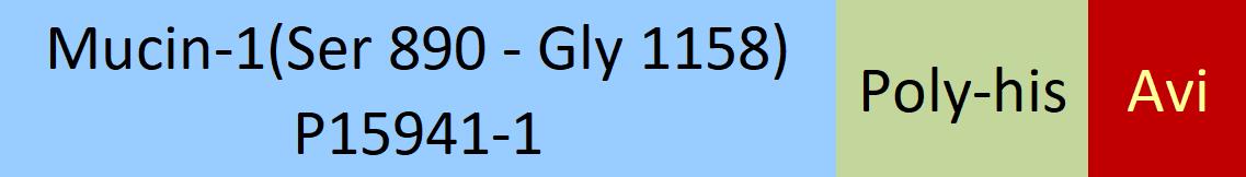 Mucin-1 Structure