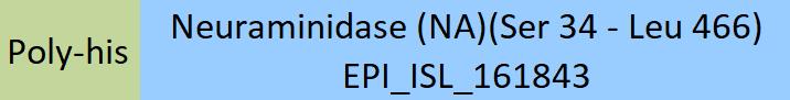 Neuraminidase (NA) Structure