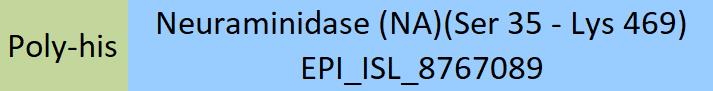 Neuraminidase (NA) Structure