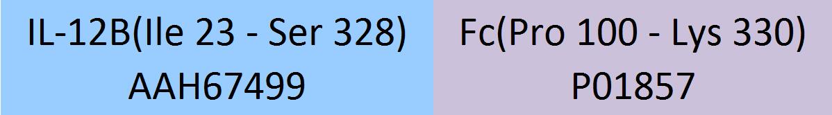 IL-12B Structure