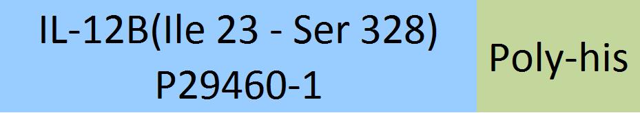 IL-12B Structure